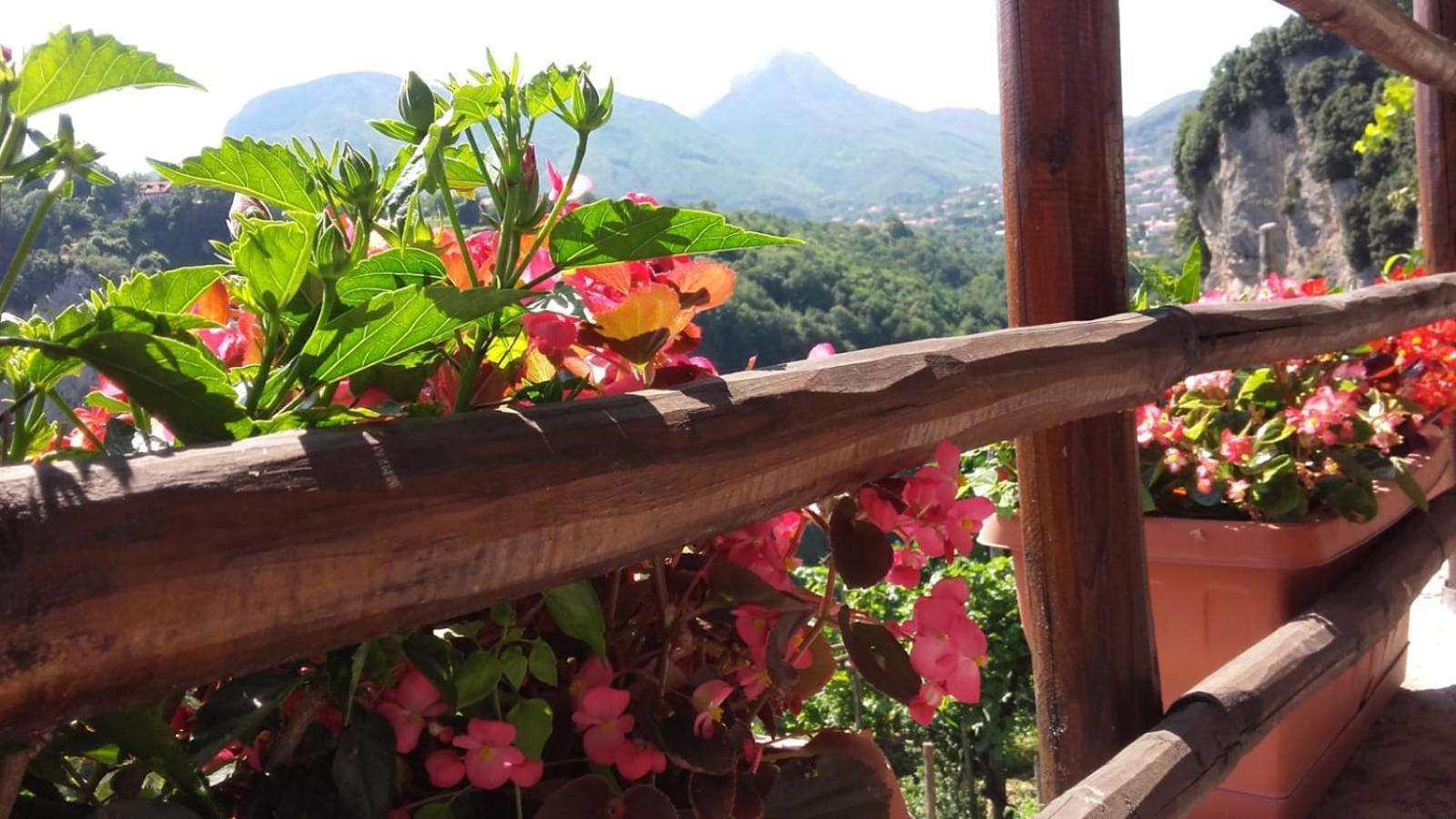 Agriturismo Orrido Di Pino Agerola Bagian luar foto