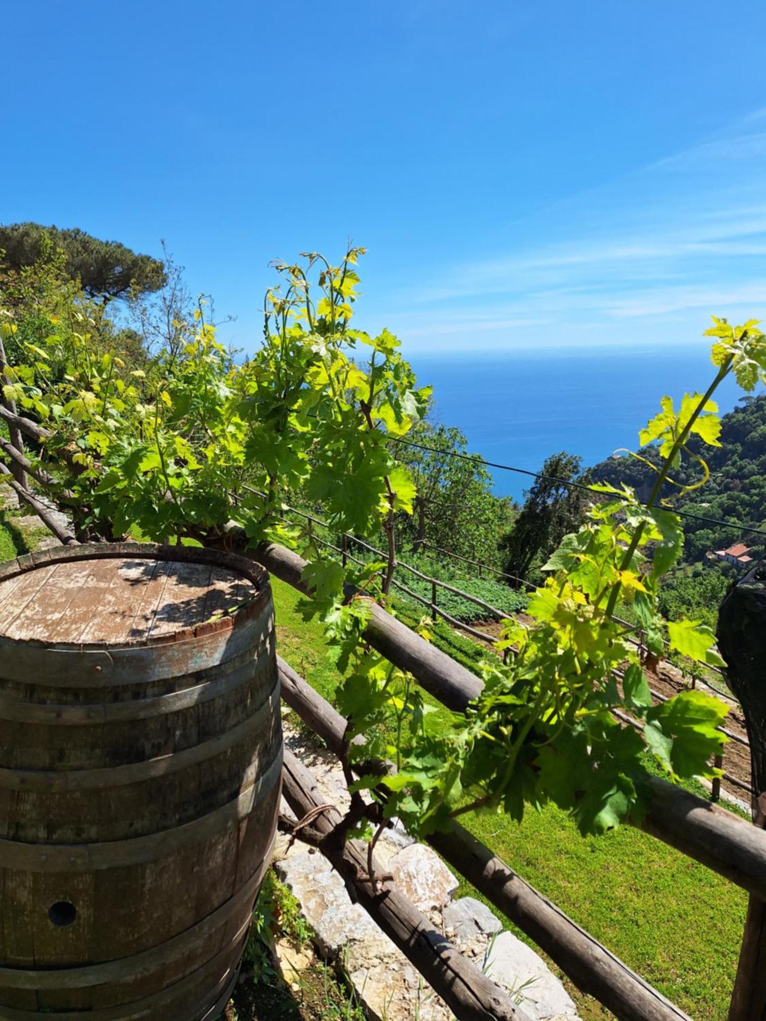Agriturismo Orrido Di Pino Agerola Bagian luar foto