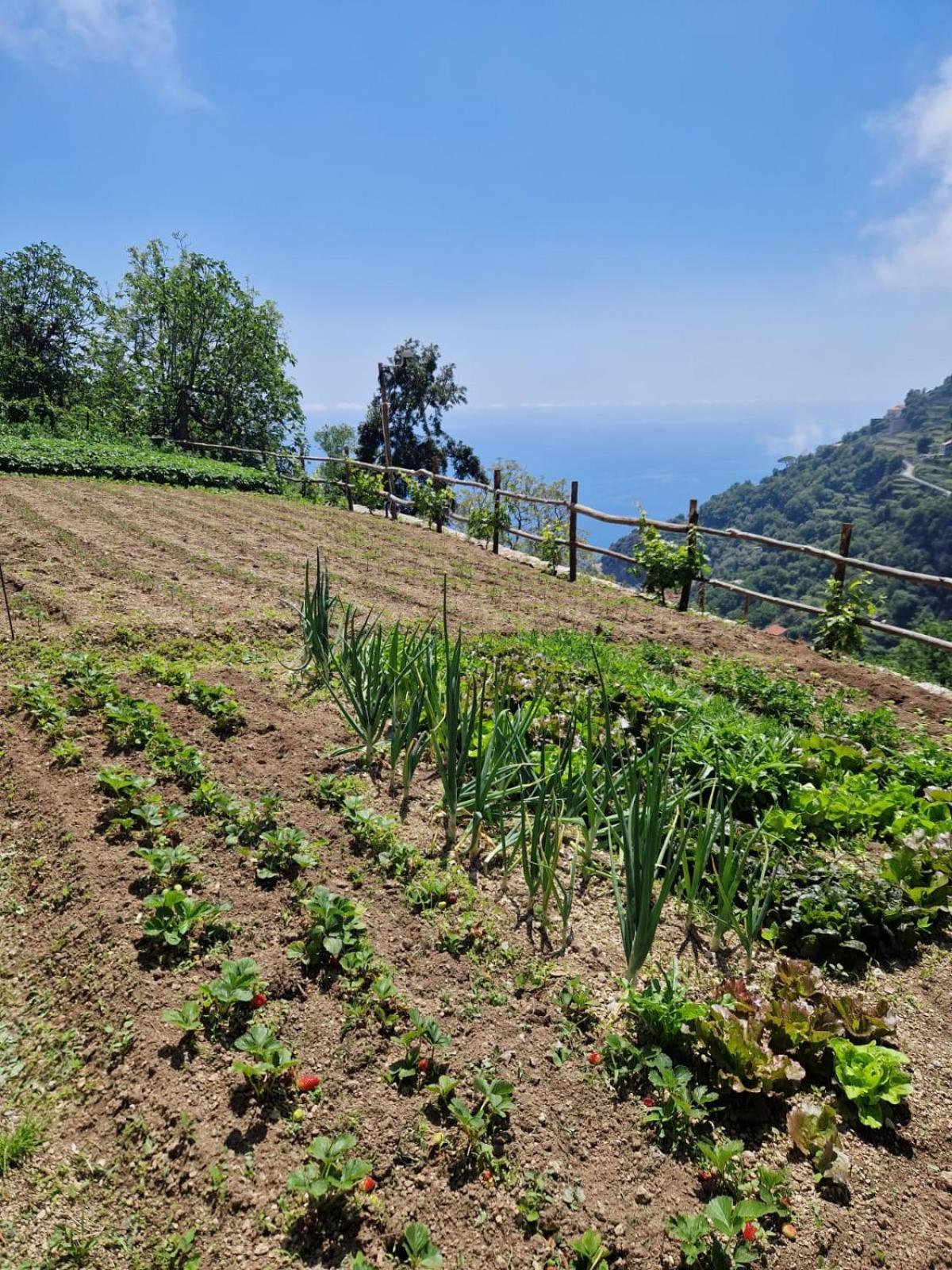 Agriturismo Orrido Di Pino Agerola Bagian luar foto