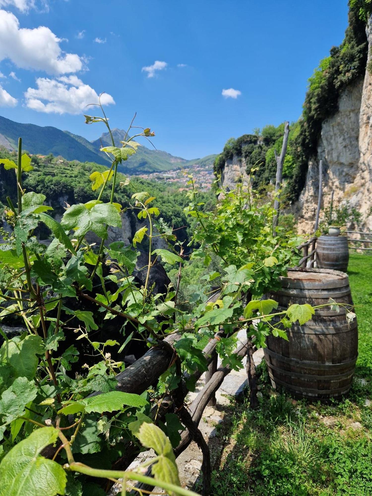 Agriturismo Orrido Di Pino Agerola Bagian luar foto