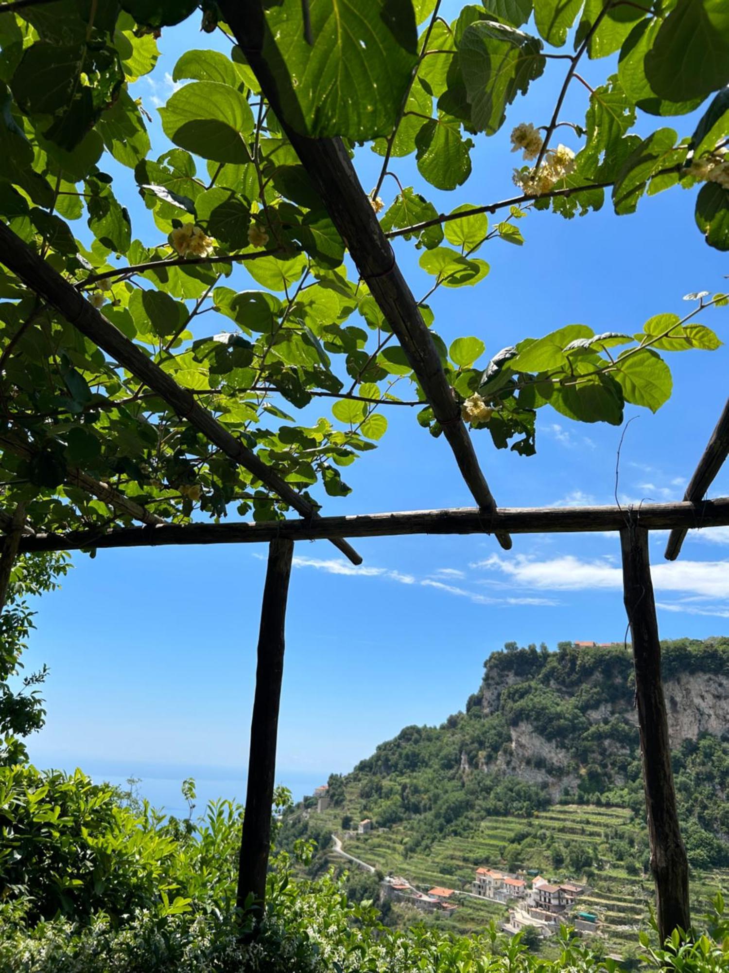 Agriturismo Orrido Di Pino Agerola Bagian luar foto