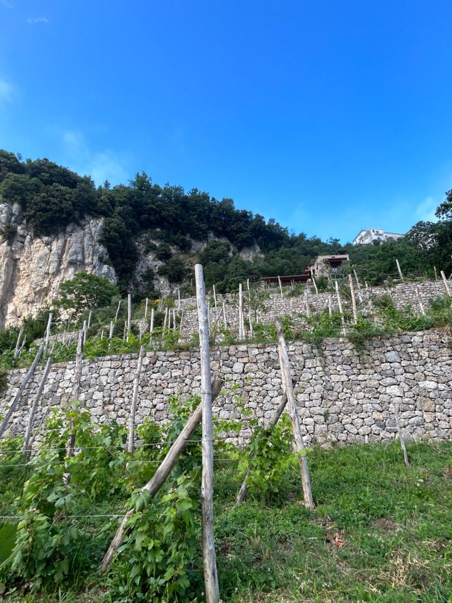 Agriturismo Orrido Di Pino Agerola Bagian luar foto
