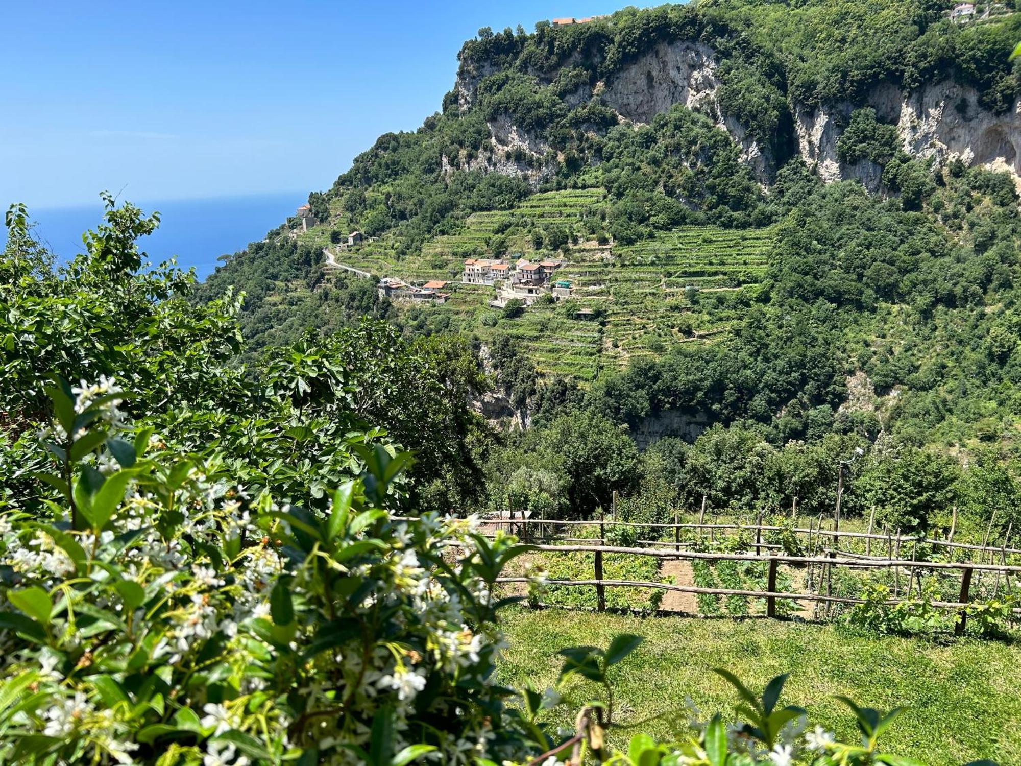 Agriturismo Orrido Di Pino Agerola Bagian luar foto