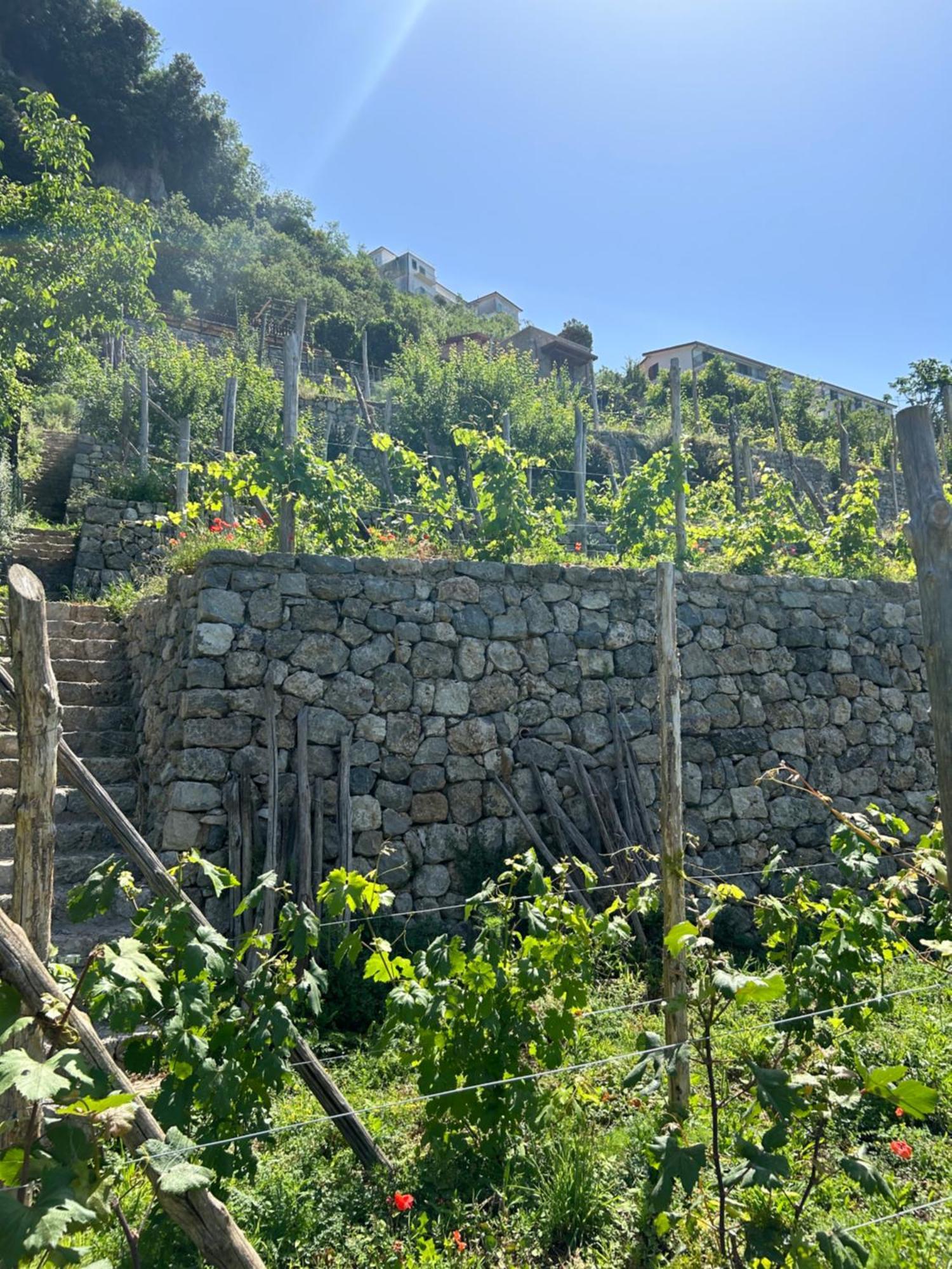 Agriturismo Orrido Di Pino Agerola Bagian luar foto