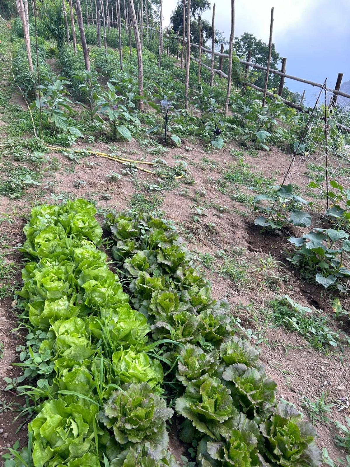 Agriturismo Orrido Di Pino Agerola Bagian luar foto